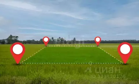 Участок в Ярославская область, Некрасовское рп ул. Советская (12.0 ...