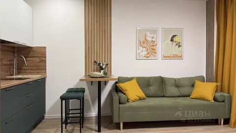 Студия Москва 2-й Нагатинский проезд, 2/3 (26.0 м)