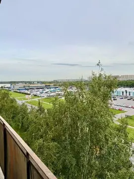 1-к кв. Санкт-Петербург Хасанская ул., 18К1 (33.0 м)
