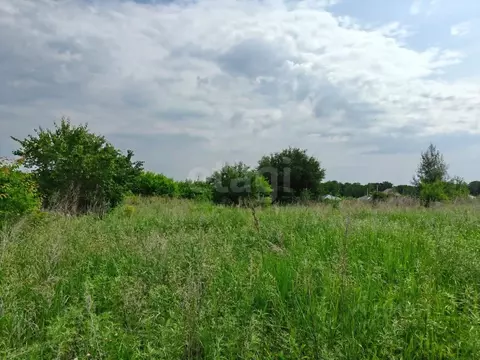 Участок в Амурская область, Благовещенский район, с. Новотроицкое  ...
