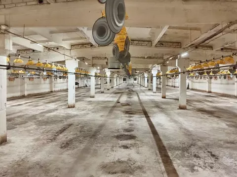 Склад в Ленинградская область, Ломоносовский район, Русско-Высоцкое ...