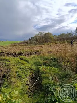Участок в Ленинградская область, Лужский район, Заклинское с/пос, д. ...
