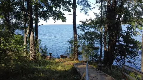 Участок в Ленинградская область, Приозерский район, Громовское с/пос, ...