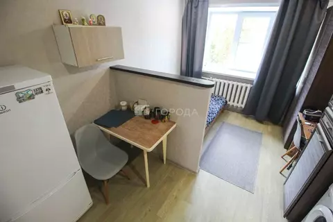 Студия Алтайский край, Барнаул ул. Эмилии Алексеевой, 66 (18.4 м)