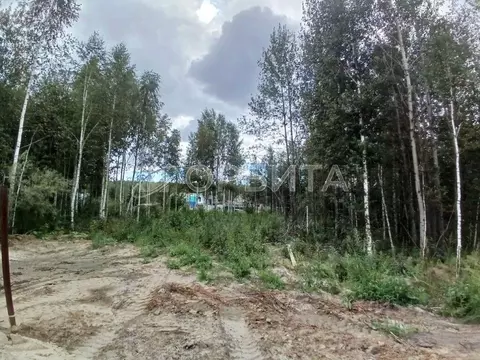 Участок в Тюменская область, Тюмень Медик СНТ, ул. Сливовая (6.9 сот.)