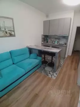 Студия Москва бул. Скандинавский, 2к4 (21.0 м)