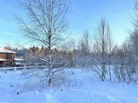 Участок в Московская область, Мытищи городской округ, д. Шолохово ул. ...