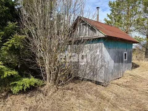 Участок в Вологодская область, Сокольский муниципальный округ, д. ...
