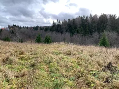 Участок в Московская область, Истра ул. Ленина, Река Истра (8.3 сот.)