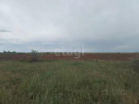 Участок в Крым, Ленинский район, Семисотское с/пос, Ак-Монай ТСН  ...