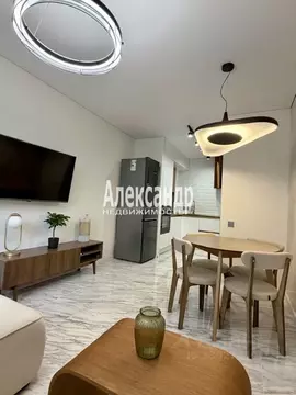 1-к кв. Санкт-Петербург наб. Реки Каменки, 13к3 (44.3 м)