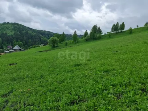 Участок в Алтай, Майминский район, с. Кызыл-Озек ул. Вечерняя, 13 ...