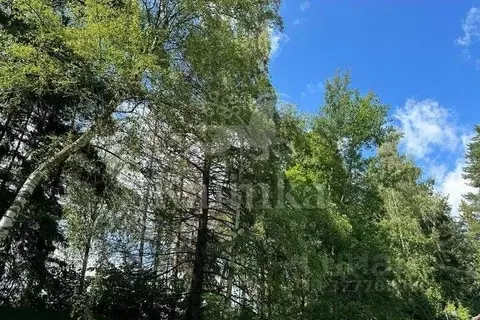 Участок в Московская область, Одинцовский городской округ, Мэдисон ...