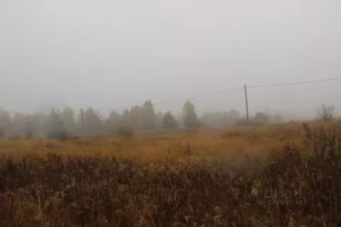 Участок в Московская область, Шаховская муниципальный округ, д. ...