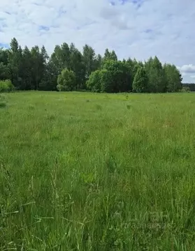 Участок в Московская область, Орехово-Зуевский городской округ, д. ...