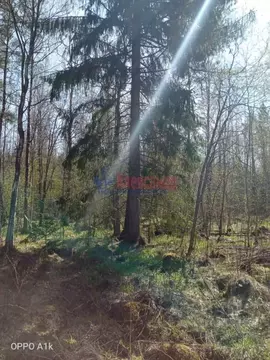 Участок в Ленинградская область, Приозерский район, Ларионовское ...