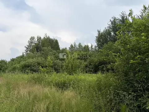 Участок в Новосибирская область, Новосибирский район, Березовский ...