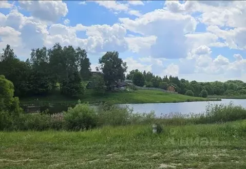 Участок в Брянская область, Жуковский муниципальный округ, с. Овстуг ...