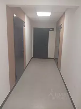 Студия Ростовская область, Ростов-на-Дону просп. Солженицына, 13/2с1 ...