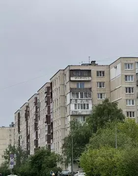 3-к кв. Санкт-Петербург Загребский бул., 35/28 (62.0 м)