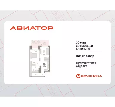 1-комнатная квартира: Новосибирск, улица Аэропорт, 90 (73.09 м)