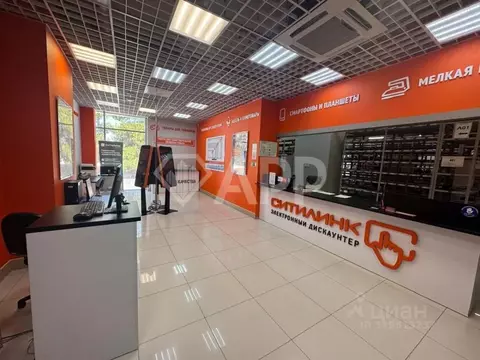 Помещение свободного назначения в Краснодарский край, Геленджик просп. ...