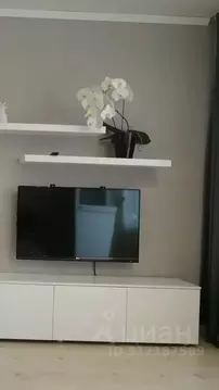 Студия Новосибирская область, Бердск Бердский санаторий тер.,  (28.0 ...