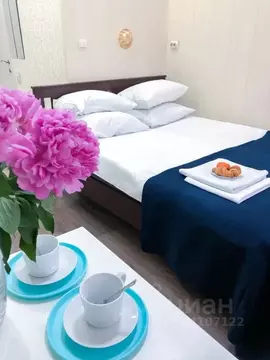 Комната Санкт-Петербург Невский просп., 132