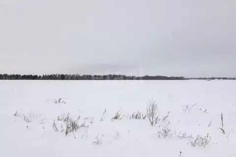 Участок в Тюменская область, Тюменский муниципальный округ, Каменское ...