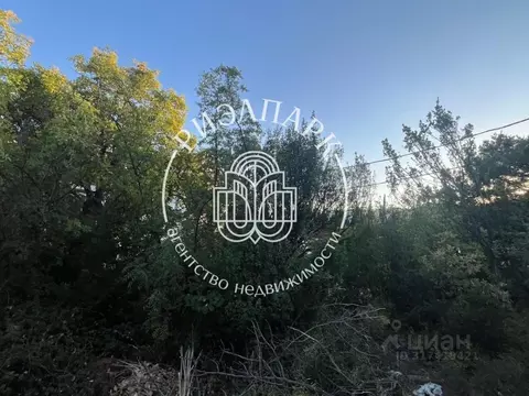 Участок в Крым, Ялта муниципальный округ, Восход пгт  (10.0 сот.)