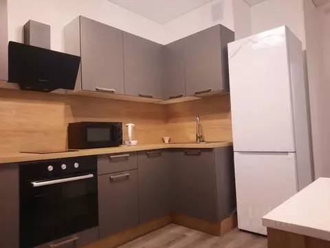 1-к кв. Санкт-Петербург Дальневосточный просп., 19к1 (42.0 м)