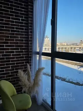 Студия Псковская область, Псков Ольгинская наб., 5А (42.0 м)