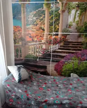 Комната Санкт-Петербург ул. Большая Зеленина, 28 (9.0 м)