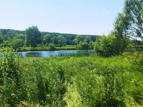 Участок в Тульская область, Ясногорский район, Иваньковское с/пос, ...