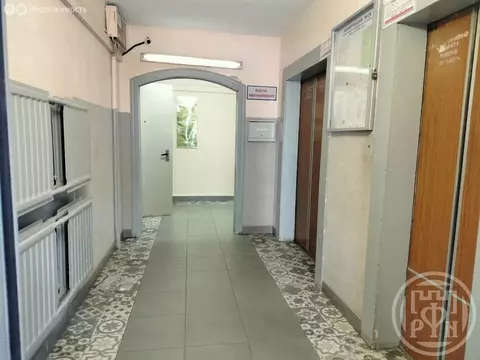 1-комнатная квартира: Санкт-Петербург, Приморский проспект, 141к2 ...
