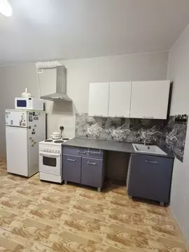 1-к кв. Пермский край, Пермь Пушкарская ул., 100 (40.0 м)