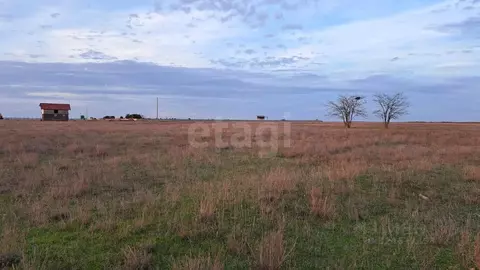 Участок в Крым, Сакский район, Штормовское с/пос, с. Хуторок  (6.0 ...