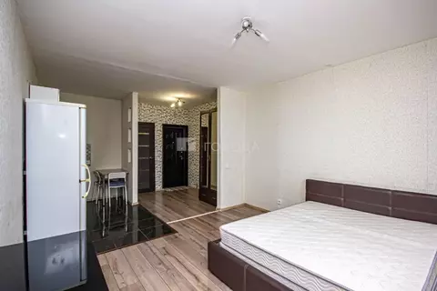 Студия Новосибирская область, Новосибирск ул. Мясниковой, 8 (30.1 м)