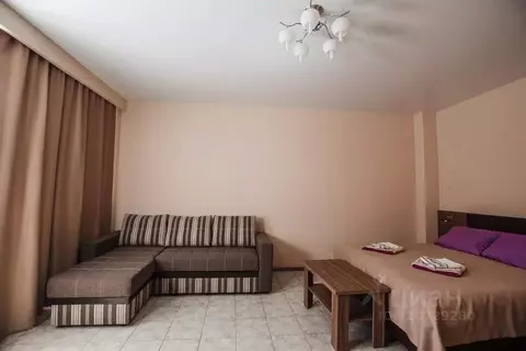 1-к кв. Новосибирская область, Новосибирск ул. Сибиряков-Гвардейцев, ...