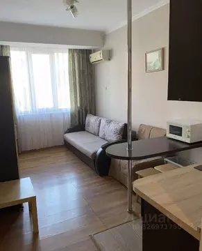 Студия Краснодарский край, Сочи Виноградная ул., 224/11 (25.0 м)