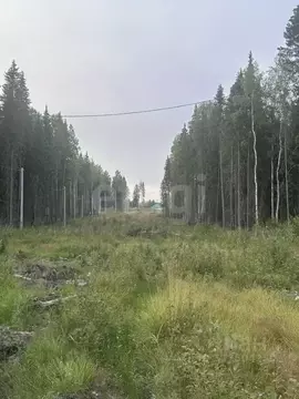 Участок в Коми, Сыктывкар ул. 10-я Линия (12.74 сот.)