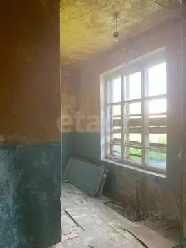 Помещение свободного назначения в Вологодская область, Междуреченский ...