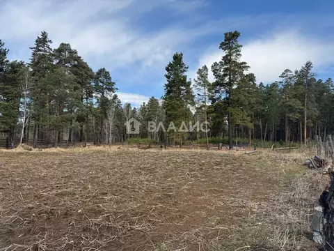 Участок в Иркутская область, Ангарск Вишенка СНТ,  (17.5 сот.)