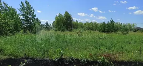 Участок в Тюменская область, Тюмень  (8.0 сот.)