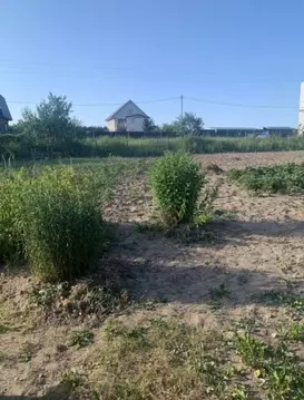 Участок в Калужская область, Дзержинский район, Дворцы с/пос, д. ...