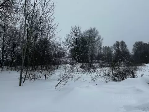 Участок в Московская область, Ступино городской округ, д. Толочаново ...