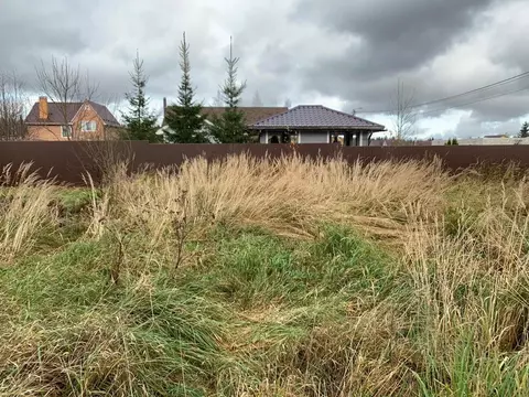 Участок в Московская область, Истра муниципальный округ, д. Рыбушки ...