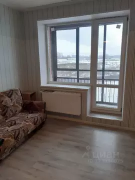 Студия Санкт-Петербург проезд Дизельный, 11к2 (25.0 м)