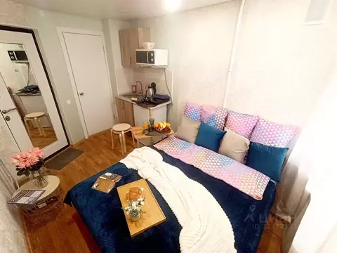 1-к кв. Татарстан, Казань Габдуллы Тукая ул., 9 (15.0 м)