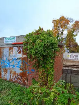 Гараж в Краснодарский край, Краснодар ул. Тюляева (38 м)